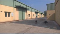 Cho thuê kho xưởng 1200m2, 1800m2, 3000m2 khu CN Phú Nghĩa, Chương Mỹ, Hà Nội